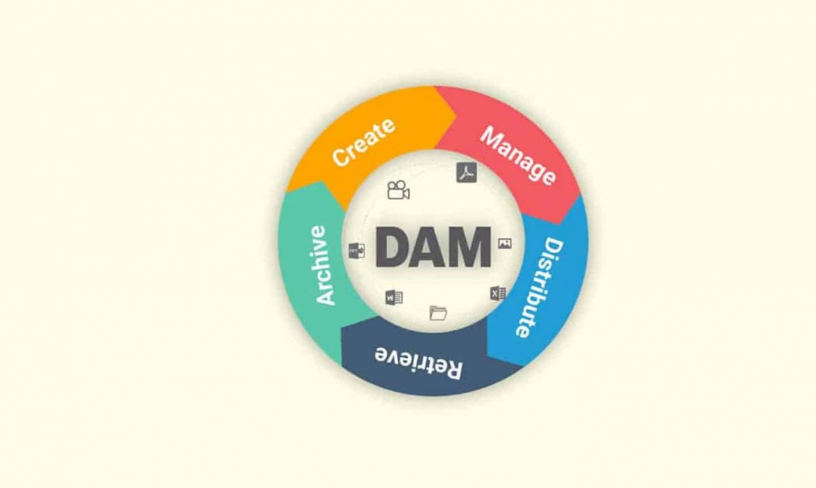 Five Best Digital Asset Management Vendors for Your DAM Needs