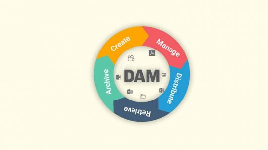 Five Best Digital Asset Management Vendors for Your DAM Needs