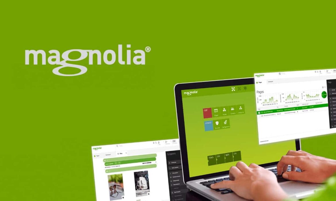 NextRow Digital Awarded ‘Gold Partner’ Status by Magnolia