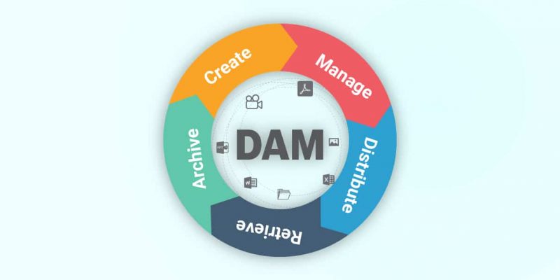 (Inner2)How Is Digital Asset Management (DAM) Different from Content Management System (CMS)